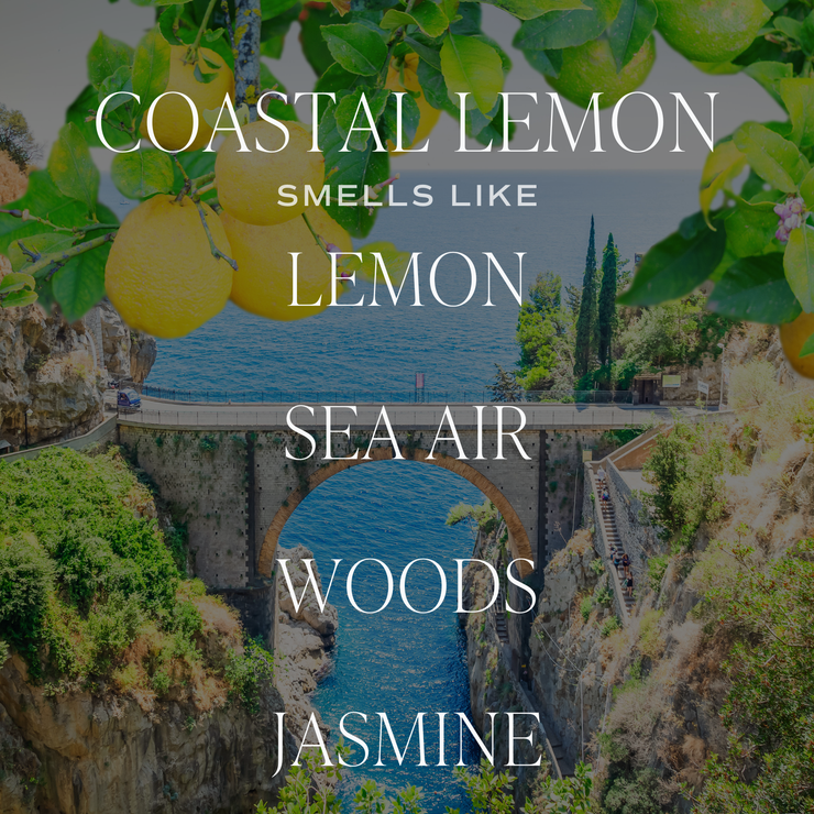 Sweet Water Decor 9oz Soy Candle - Coastal Lemon